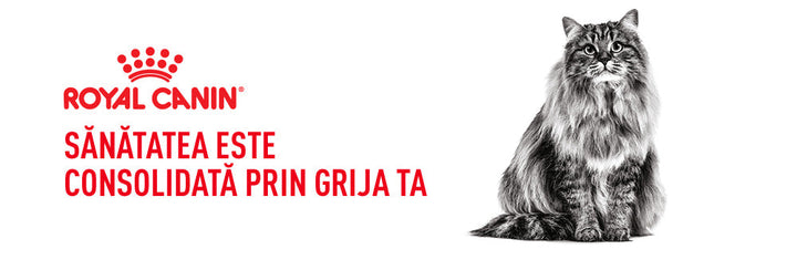 Royal Canin Digestive Care Adult hrana uscata pisica, confort digestiv, 10 kg