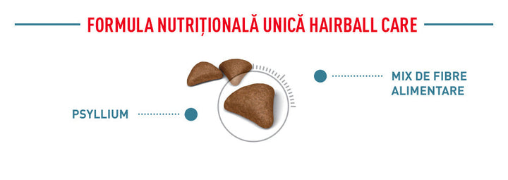 Hrana Uscata Pisici Royal Canin 216110 | Hairball Care, 10kg