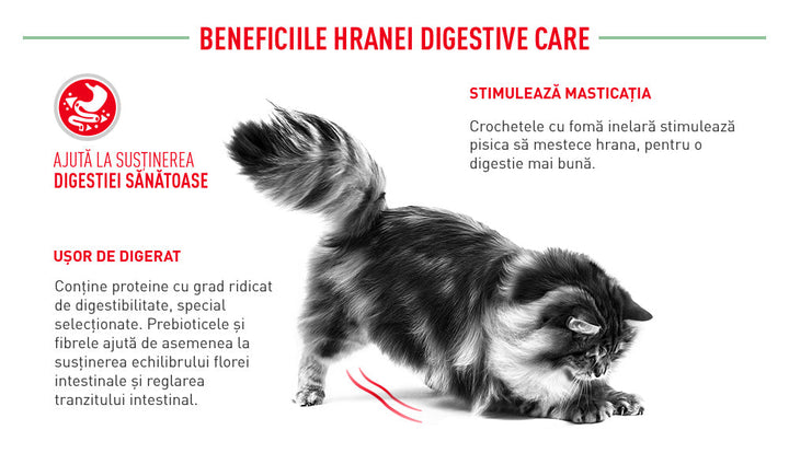 Hrana Uscata Pisici Royal Canin 221090 | Digestive Care, 10kg