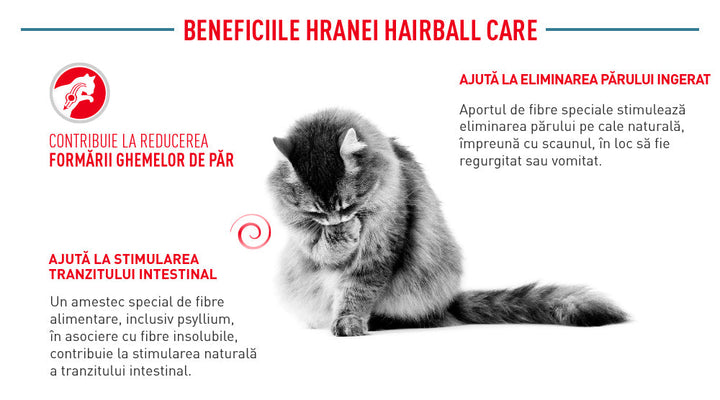 Hrana Uscata Pisici Royal Canin 216110 | Hairball Care, 10kg