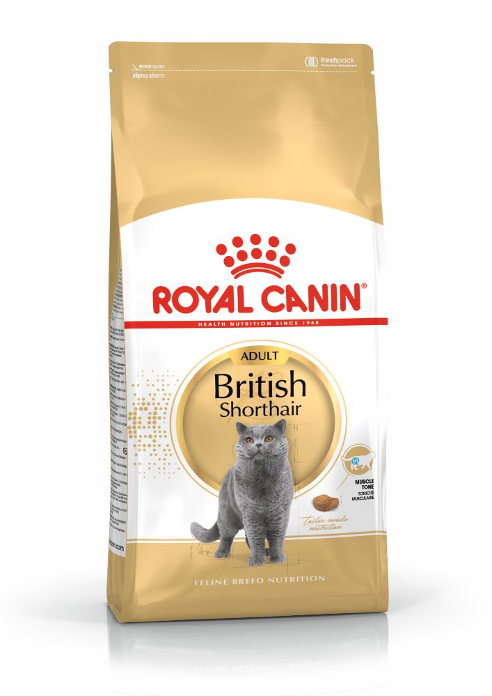 Royal Canin British Shorthair Adult hrana uscata pisica, 10 kg