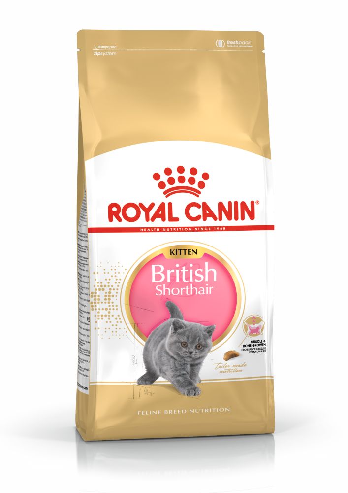 Royal Canin British Shorthair Kitten hrana uscata pisica junior, 400 g