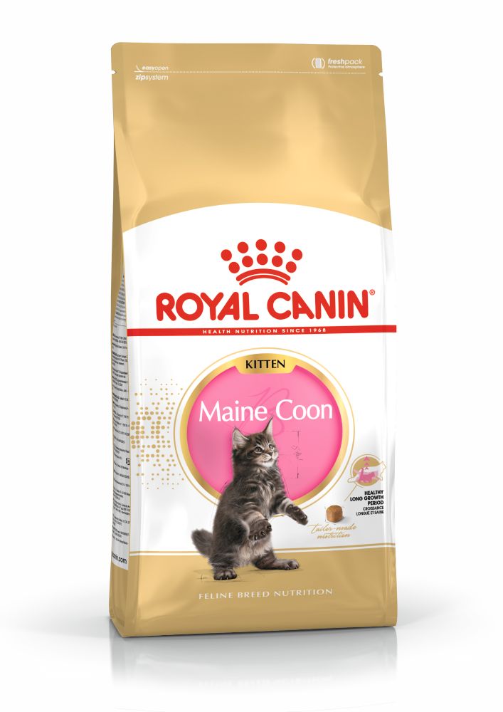 Royal Canin Maine Coon Kitten hrana uscata pisica junior, 2 kg