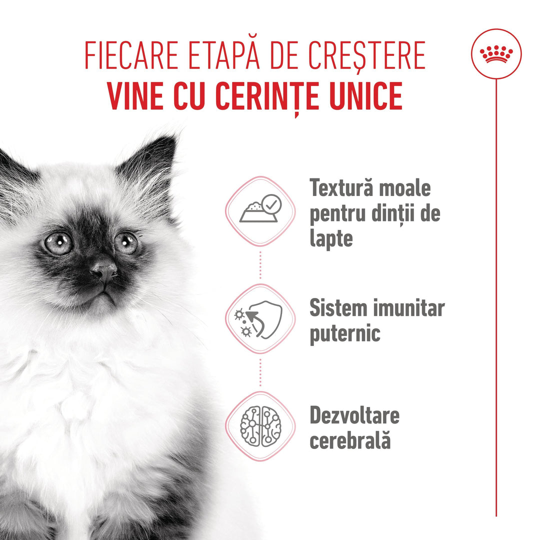 Royal Canin Kitten hrana umeda pisica junior (in sos), 12 x 85 g