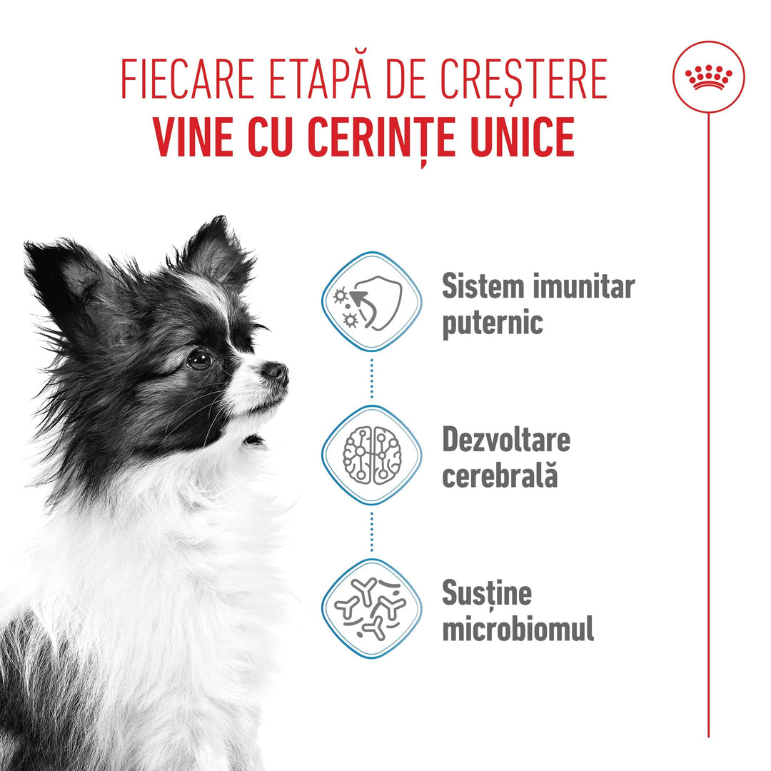 Royal Canin X-Small Puppy hrana uscata caine junior, 500 g