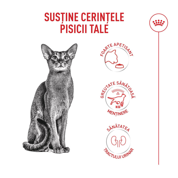 Royal Canin Fussy Adult hrana uscata pisica, apetit capricios, 10 kg