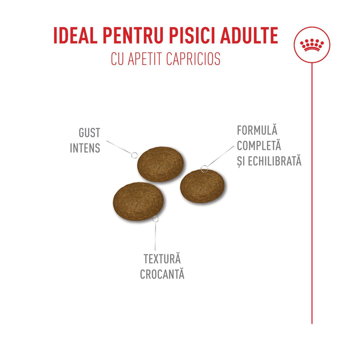 Royal Canin Fussy Adult hrana uscata pisica, apetit capricios, 2 kg