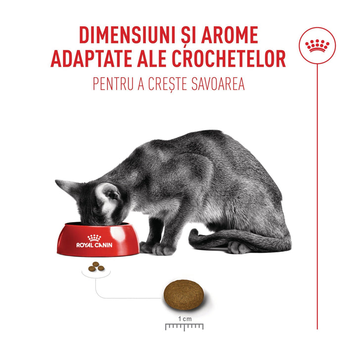 Royal Canin Fussy Adult hrana uscata pisica, apetit capricios, 4 kg