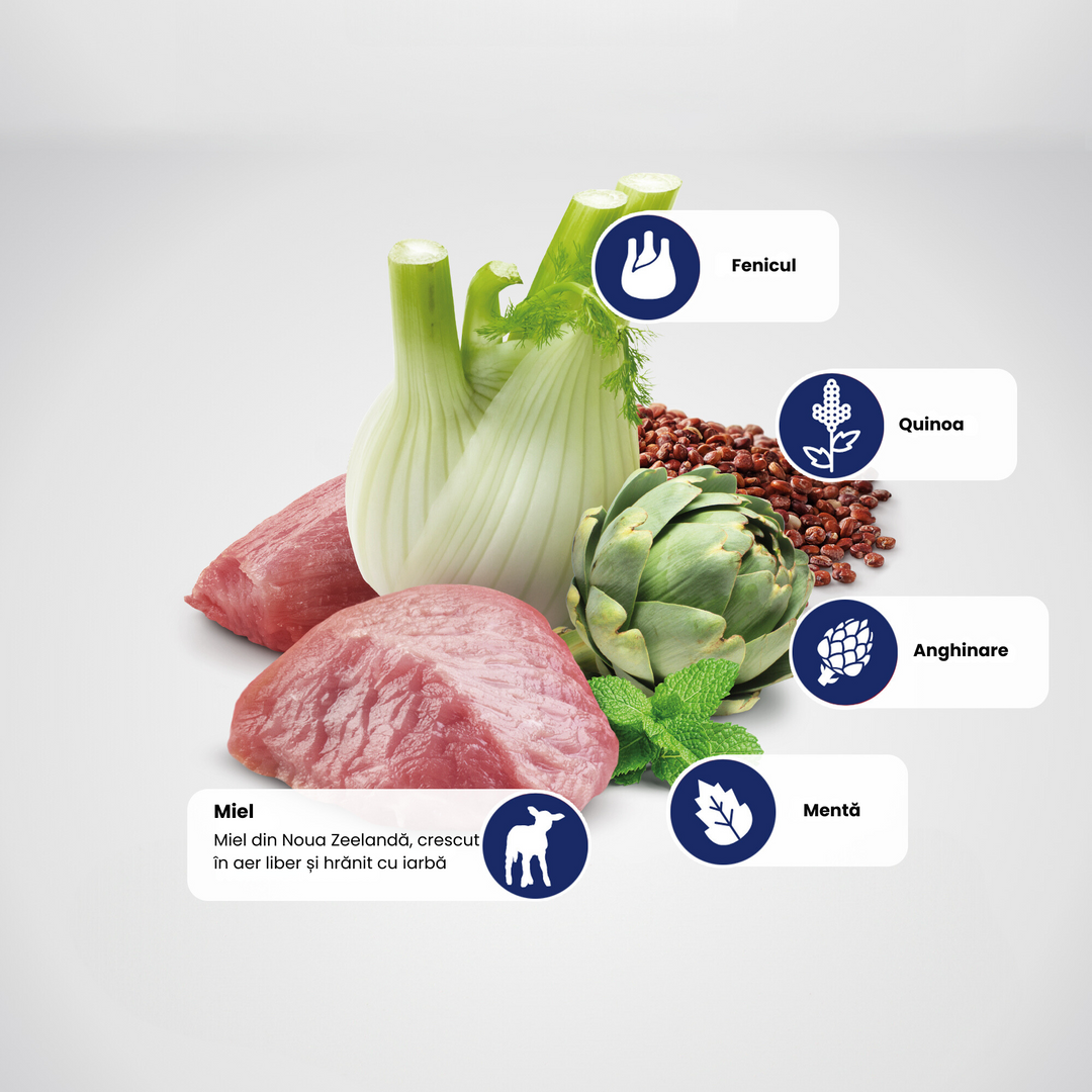 Hrană umedă câine Farmina N&amp;D QUINOA digestion hrană umedă 285 gr