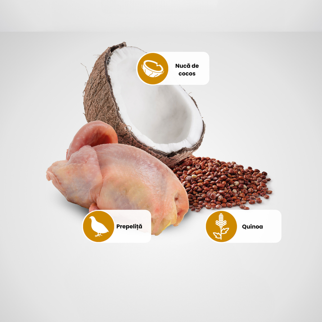 Hrana Umeda Caini Farmina N&amp;D PND285020 | Quinoa, Skin&amp;Coat, 285g