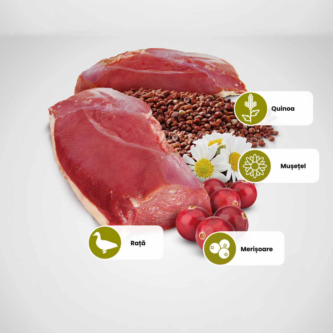 Hrană umedă pisică Farmina N&amp;D QUINOA urinary hrană umedă 80 gr
