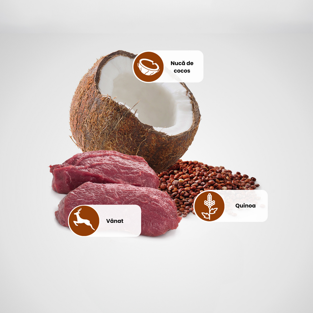 Hrană umedă pisică Farmina N&amp;D QUINOA skin &amp; coat vânat 80 gr