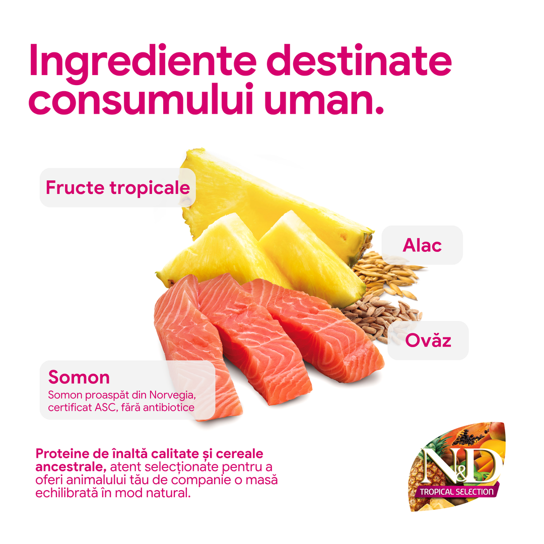 Hrana Uscata Caini Farmina N&amp;D PND1000034 | Somon, Fructe, 10kg