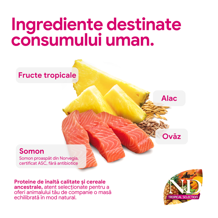 Hrana Uscata Caini Farmina N&amp;D PND1000034 | Somon, Fructe, 10kg