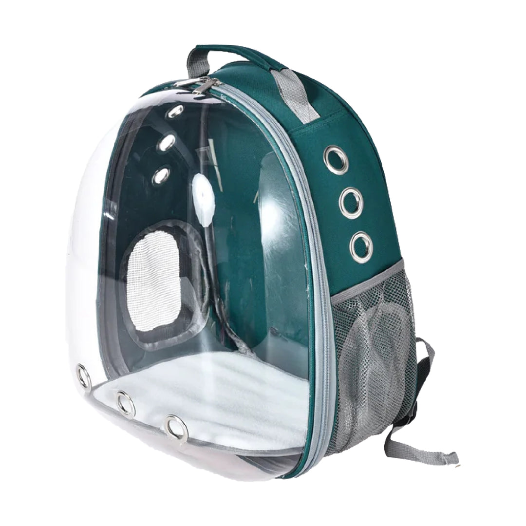 Rucsac de transport transparent pentru animale de companie 4DOG DELUXE, verde, 31x42x28cm