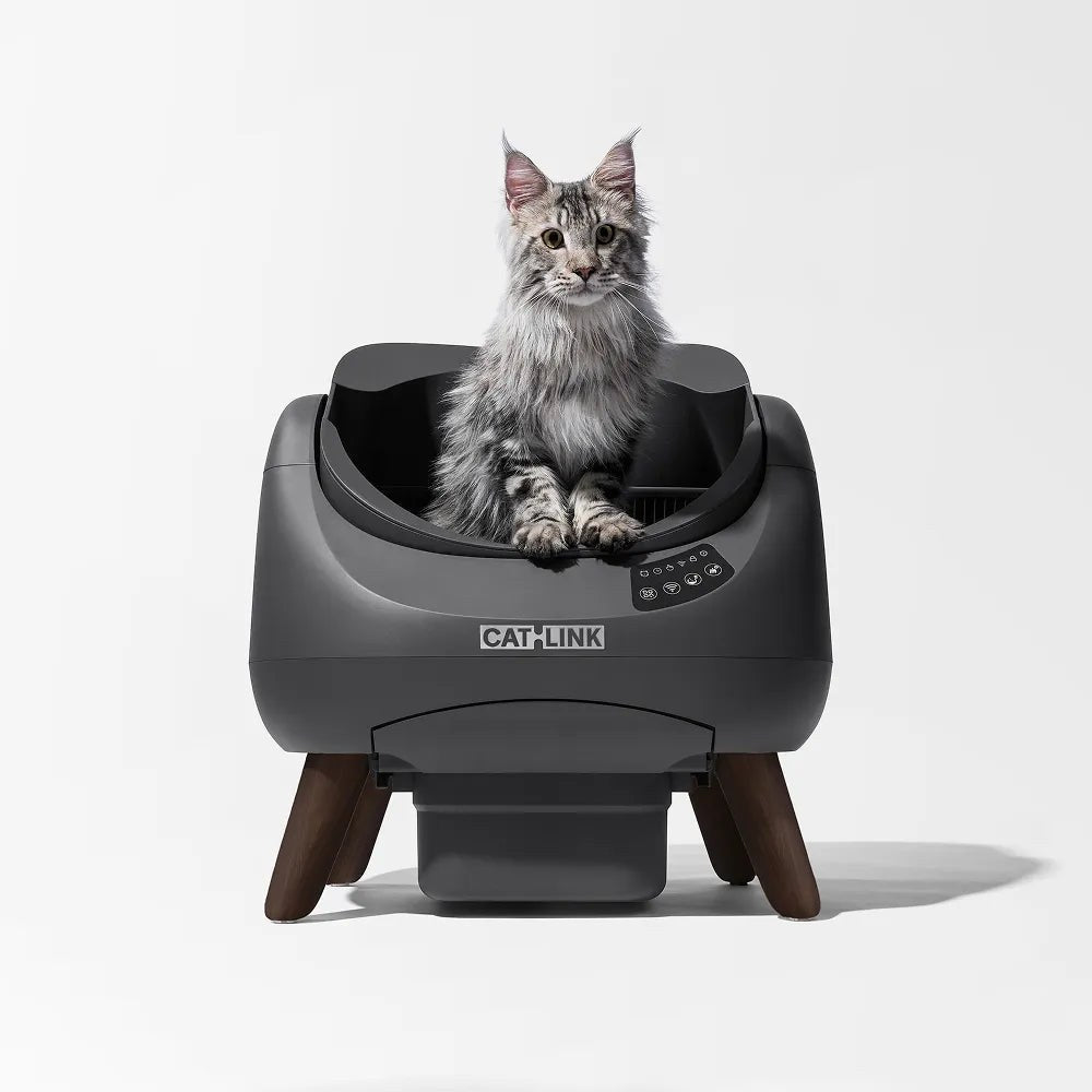 Litieră Pisici Catlink CL-CH-0 | Open-X, Autocurățare, Gri
