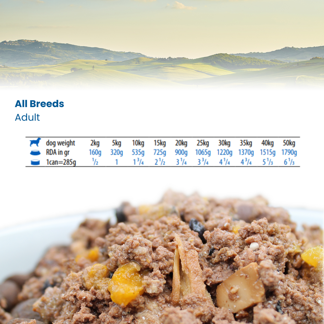 Hrana Umeda Caini Farmina N&amp;D PND285021 | Quinoa, Vanat, 285g