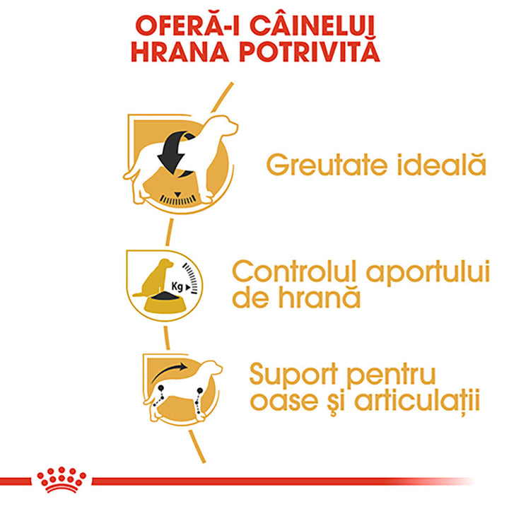 Royal Canin Beagle Adult hrana uscata caine, 3 kg