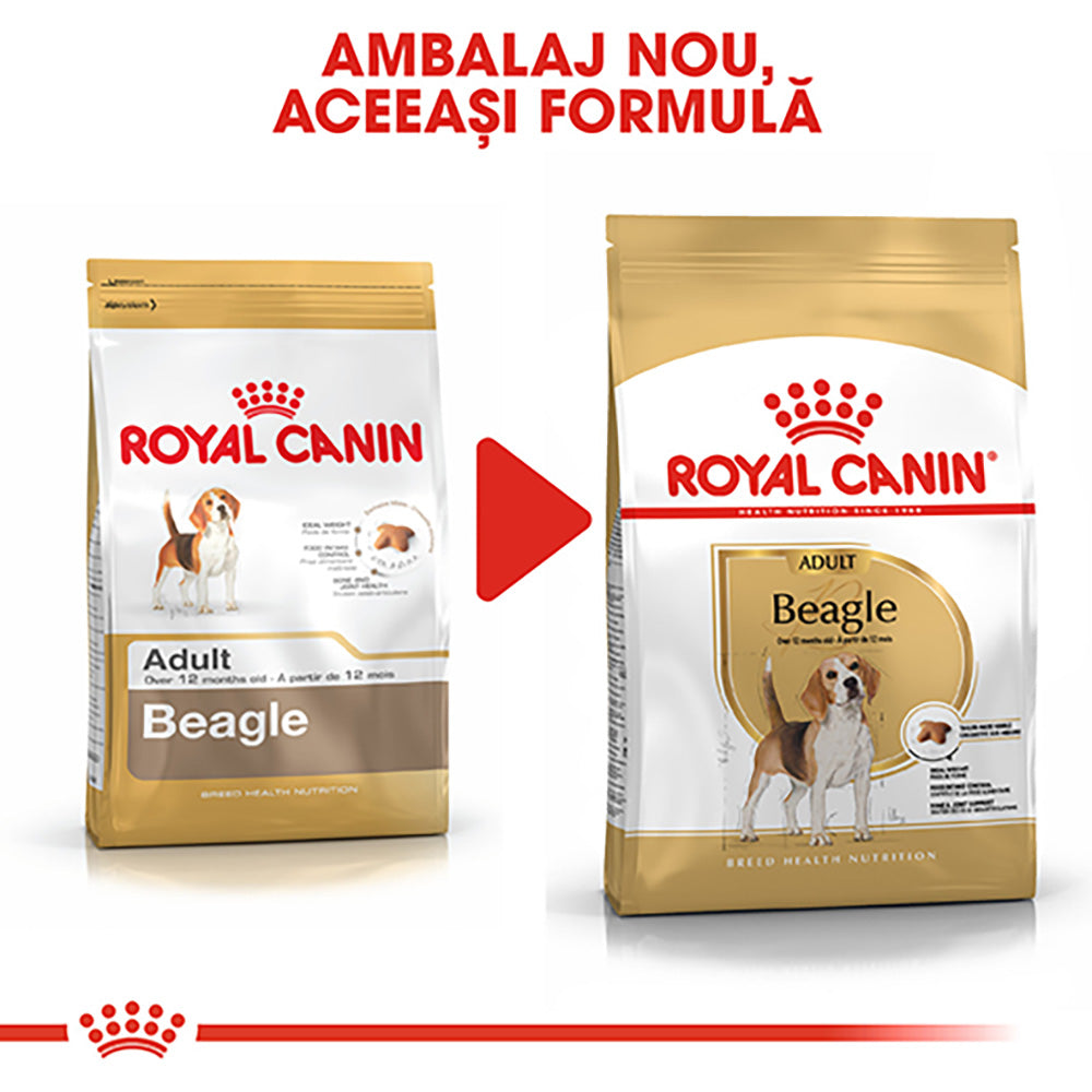 Royal Canin Beagle Adult hrana uscata caine, 3 kg