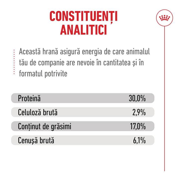 Royal Canin Ageing 11+ hrană uscată pentru pisici senioare, 400 g