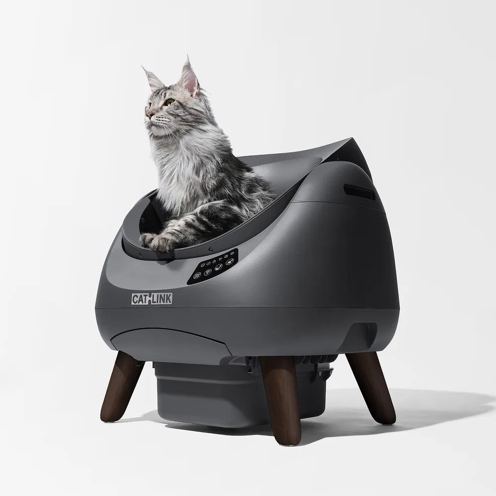 Litieră Pisici Catlink CL-CH-0 | Open-X, Autocurățare, Gri