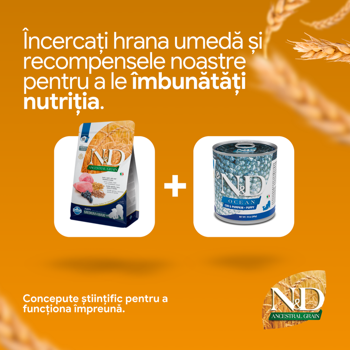 Hrana Uscata Caini Farmina N&amp;D PND0250150 | Miel, Afine, 2.5kg