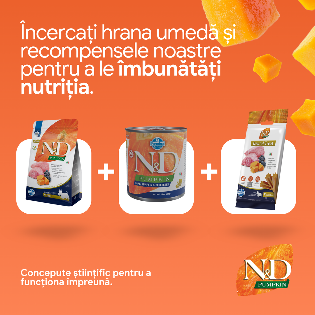 Hrană uscată câine Farmina N&amp;D PUMPKIN miel &amp; afine adult mini 800 gr