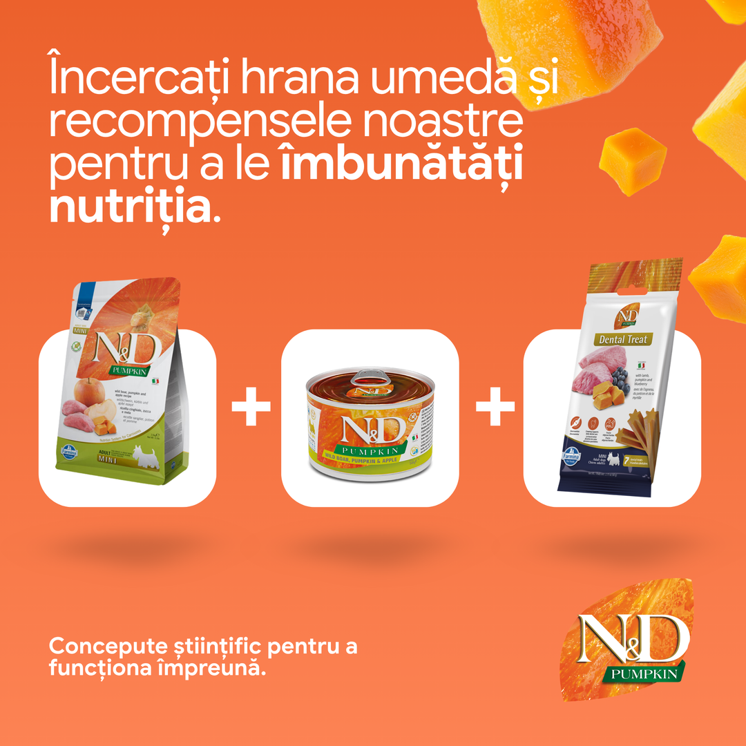 Hrană uscată câine Farmina N&amp;D PUMPKIN mistreț and măr adult mini 7 kg