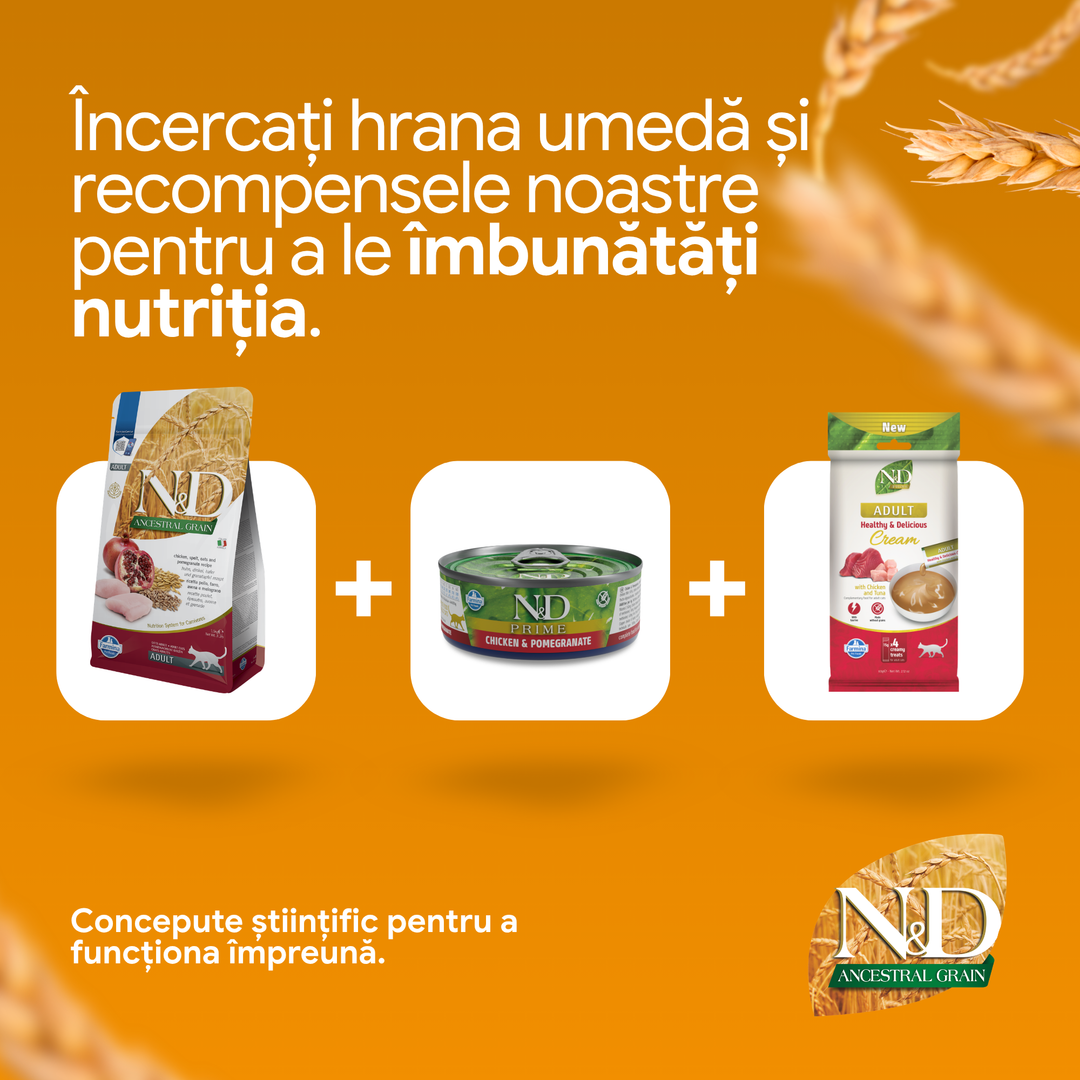 Hrana Uscata Pisici Farmina N&amp;D PND0150044 | Pui, Rodie, 1.5kg