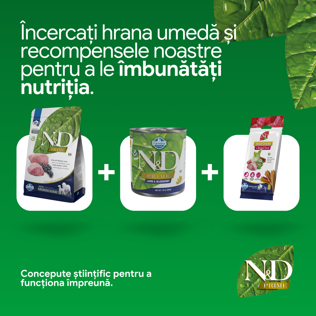 Hrana Uscata Caini Farmina N&amp;D PND1200035 | Miel, Afine, 12kg