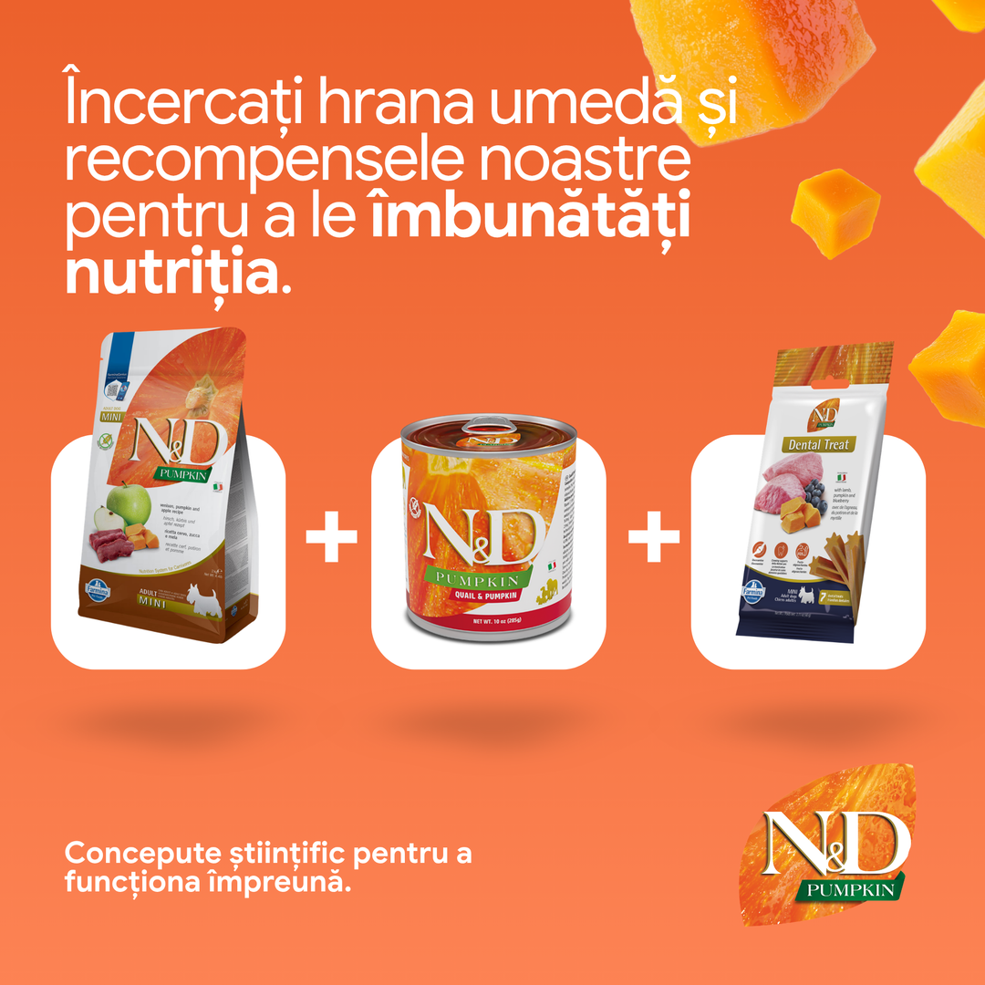Hrană uscată câine Farmina N&amp;D PUMPKIN vânat &amp; măr adult mini 2 kg