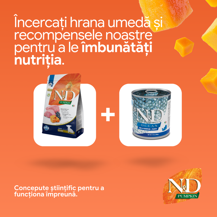 Hrană uscată câine Farmina N&amp;D PUMPKIN miel &amp; afine puppy mini 2.5 kg