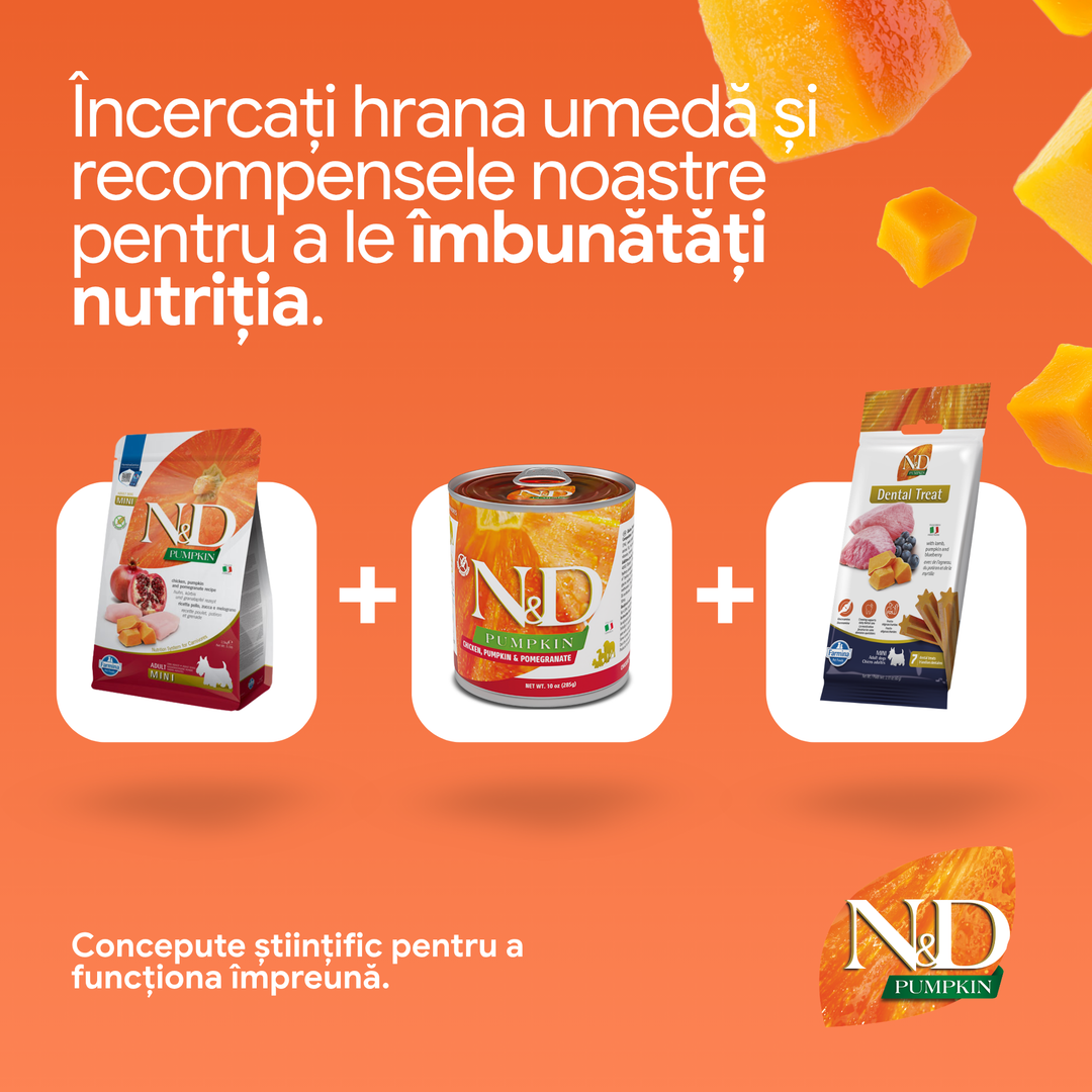 Hrană uscată câine Farmina N&amp;D PUMPKIN pui &amp; rodie adult mini 800 gr