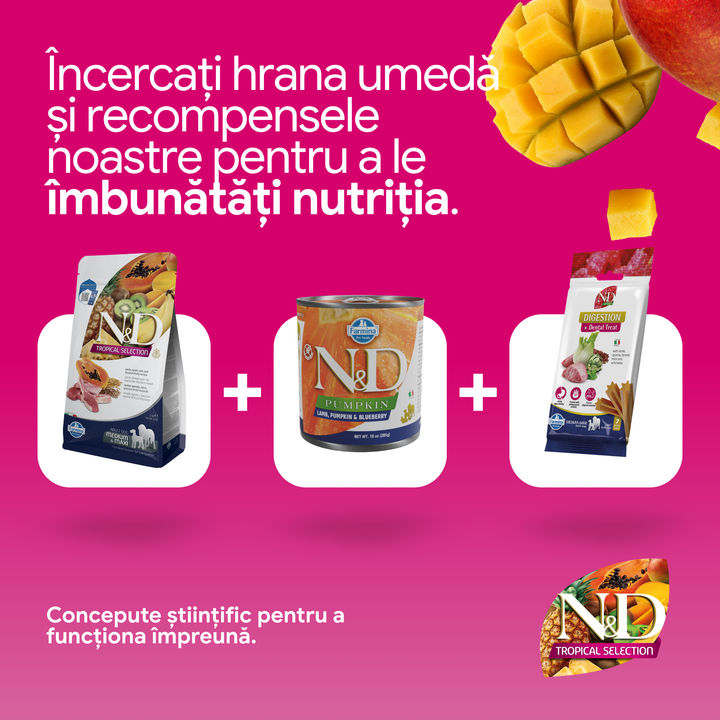 Hrana Uscata Caini Farmina N&amp;D PND1000033 | Miel, Fructe, 10kg