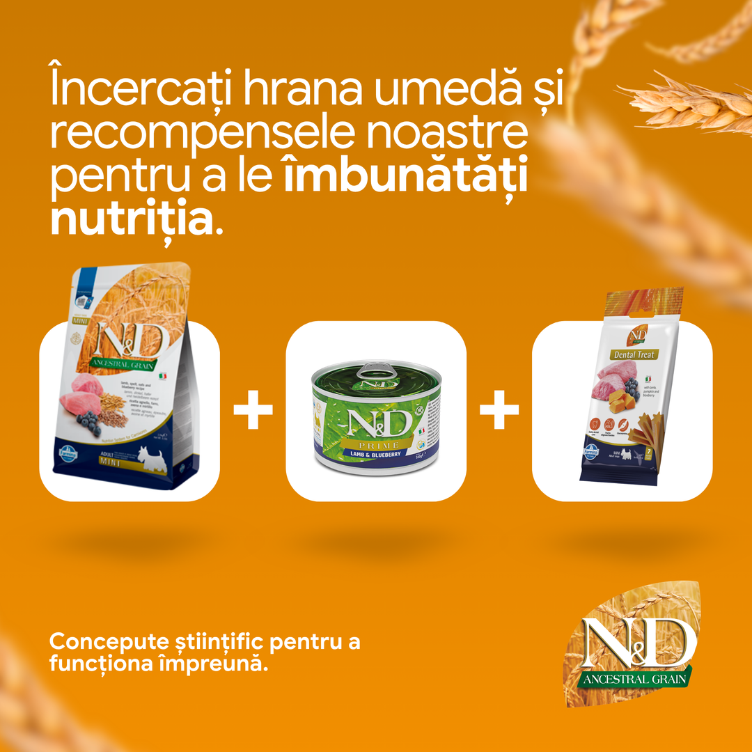 Hrana Uscata Caini Farmina N&amp;D PND0700051 | Miel, Afine, Adult, 7kg