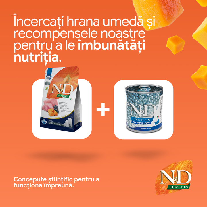 Hrana Uscata Caini Farmina N&amp;D PND025851S | Miel, Afine, 2.5kg