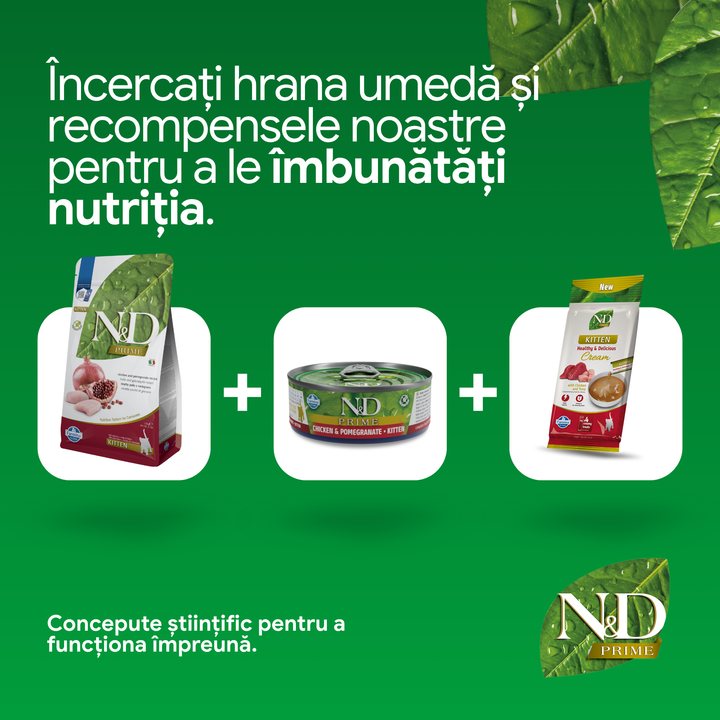 Hrană uscată pisică Farmina N&amp;D PRIME pui &amp; rodie kitten 300 gr