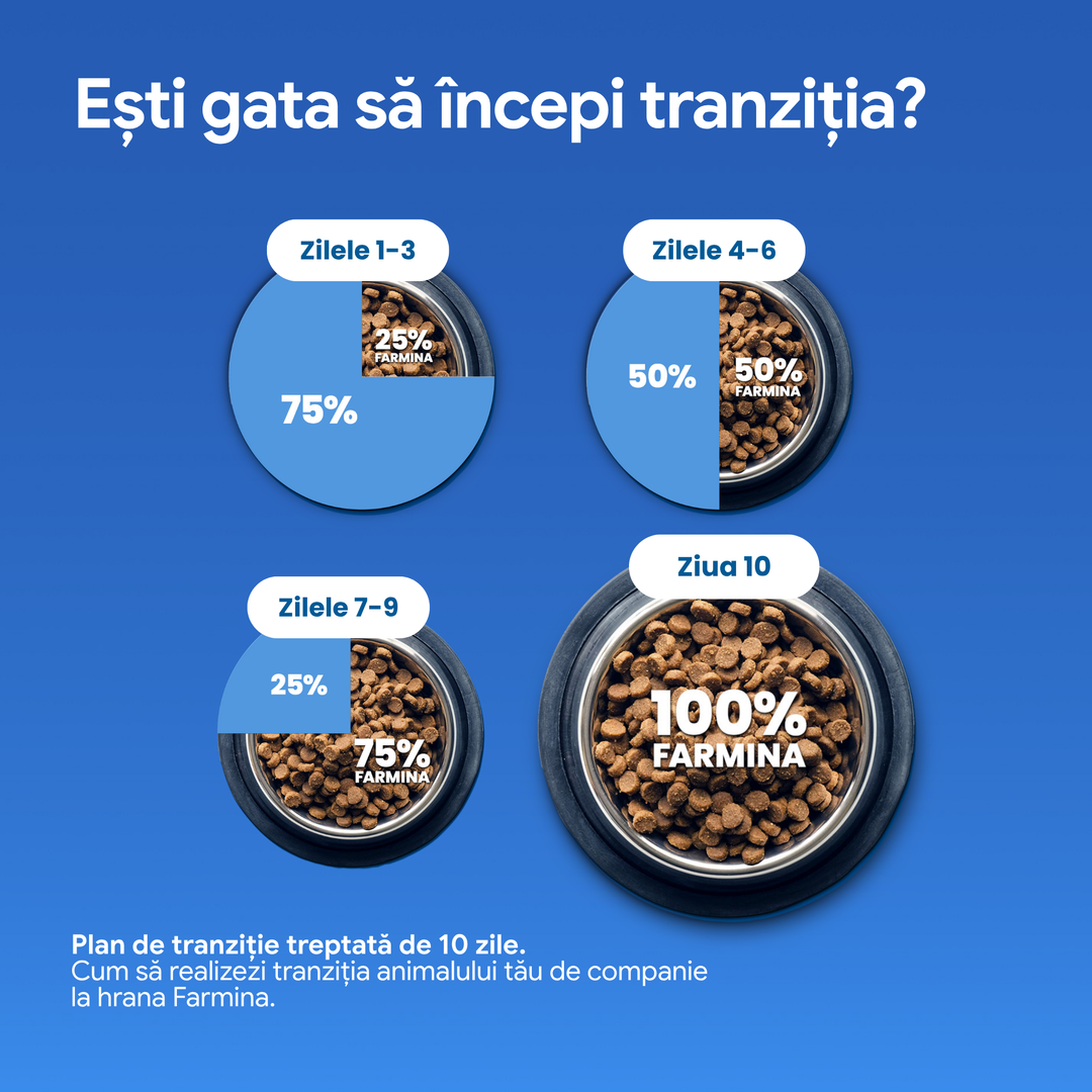 Hrană uscată pisică Farmina N&amp;D QUINOA urinary rață 5 kg