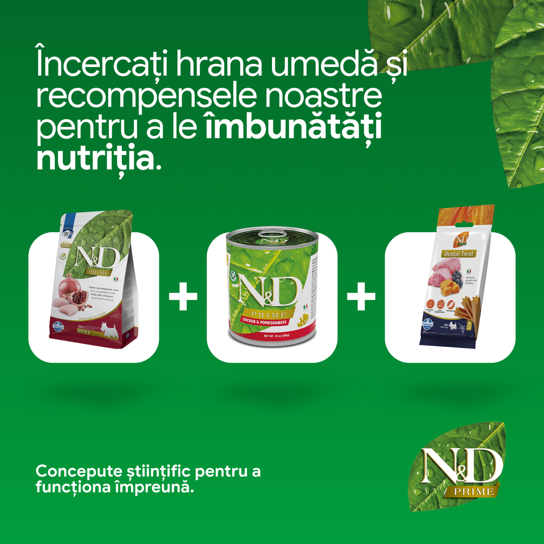 Hrană uscată câine Farmina N&amp;D PRIME pui &amp; rodie adult mini 800 gr