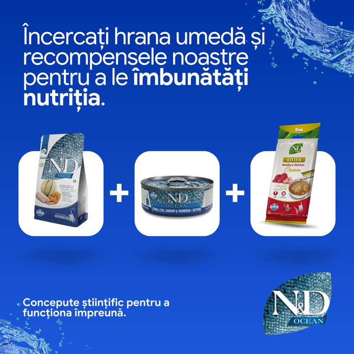 Hrana Uscata Pisici Farmina N&amp;D PND0030056 | Kitten Cod 300g