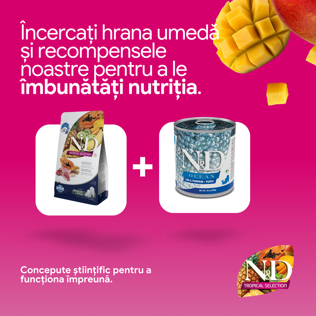 Hrana Uscata Caini Farmina N&amp;D PND0200029 | Miel, Fructe, 2kg
