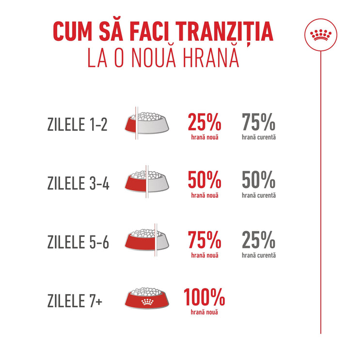 Royal Canin Ageing 11+ hrană uscată pentru pisici senioare, 400 g