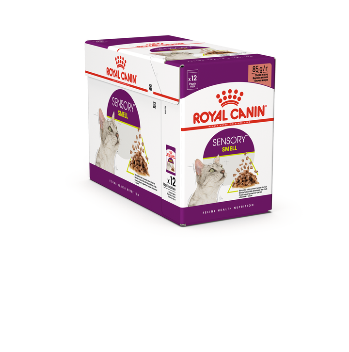 Royal Canin Sensory Smell, hrana umeda pisici, stimularea mirosului (in sos), 12 x 85 g