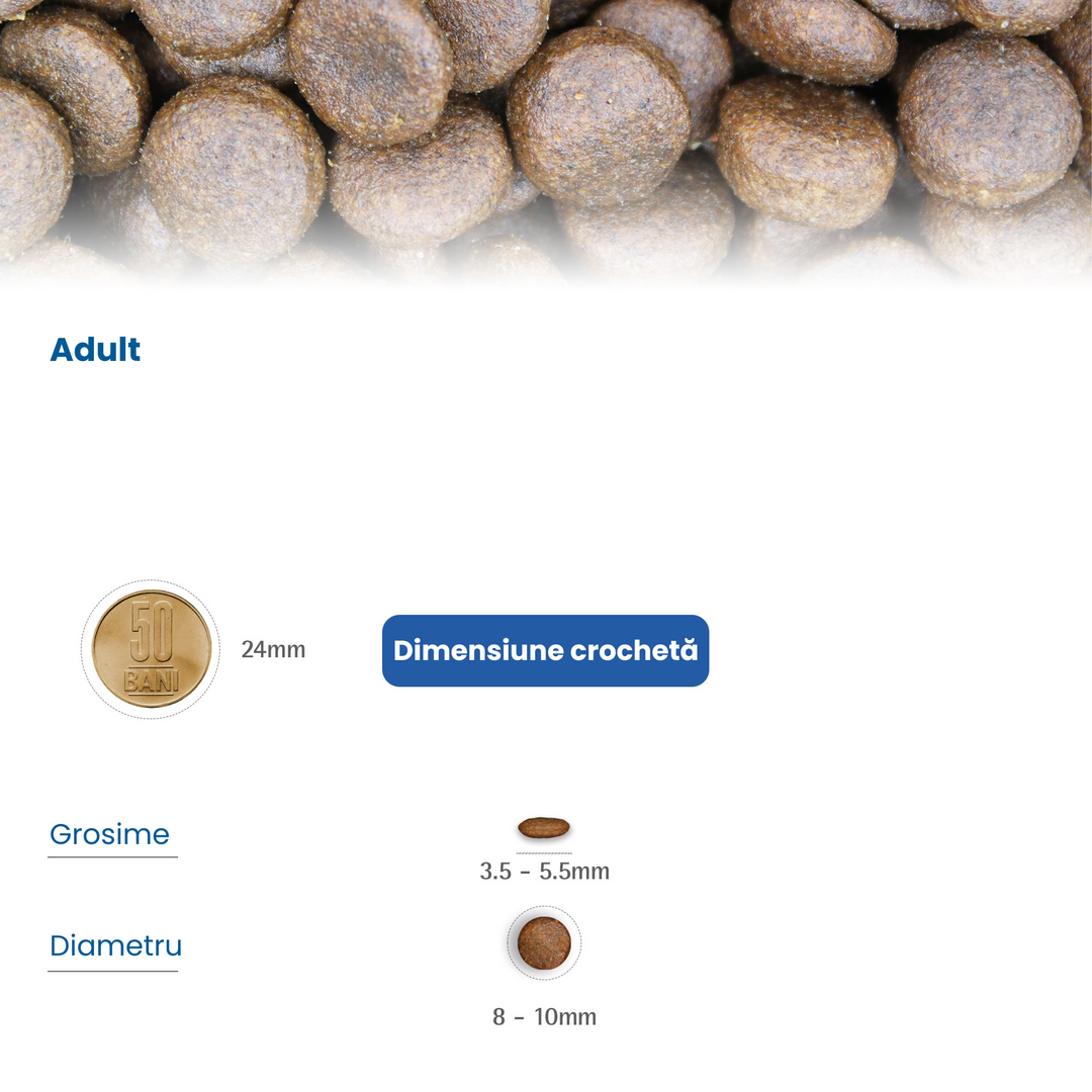 Hrană uscată pisică Farmina N&D ANCESTRAL GRAIN miel & afine 10 kg