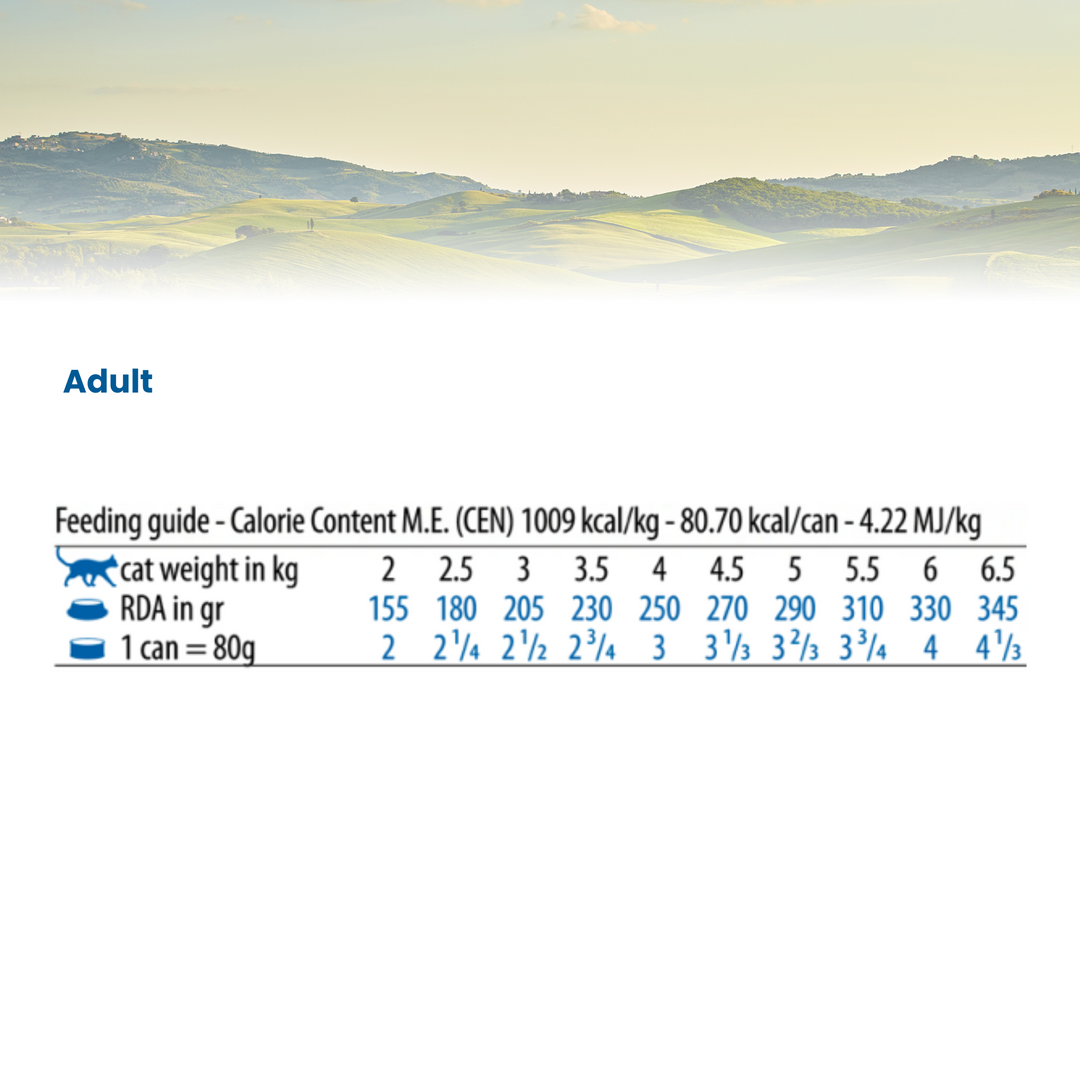 Hrana Umeda Pisici Farmina N&amp;D PND070142 | Ton, Calamar, Crevete, 70gr