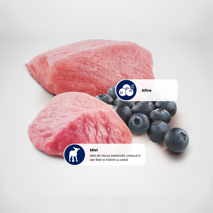 Hrană umedă pisică Farmina N&amp;D PRIME miel &amp; afine hrană umedă 70 gr