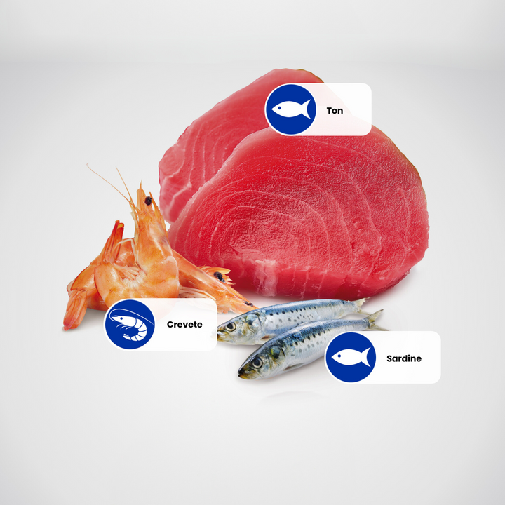Hrana Umeda Pisici PC-Pet MF.11357 | Ton, Sardine, Creveti