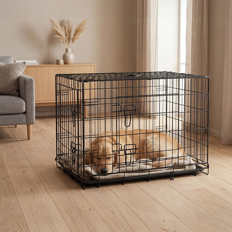 Tarc Metalic Caini Rebel Animals RA-1203 | 91x60x67 cm, Pliabil