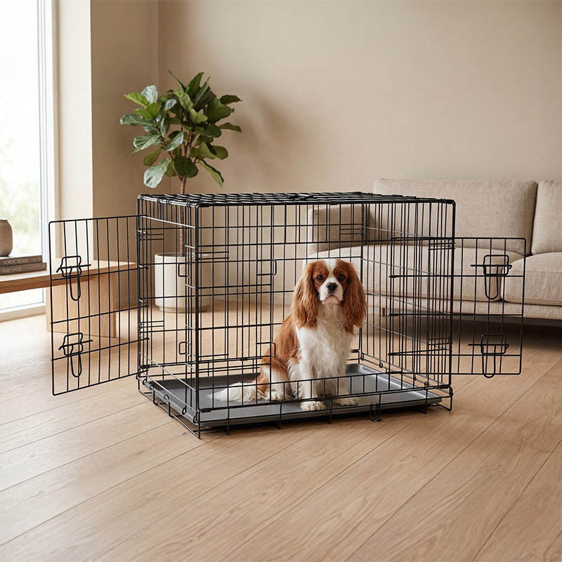 Tarc Metalic Caini Rebel Animals RA-1203 | 91x60x67 cm, Pliabil