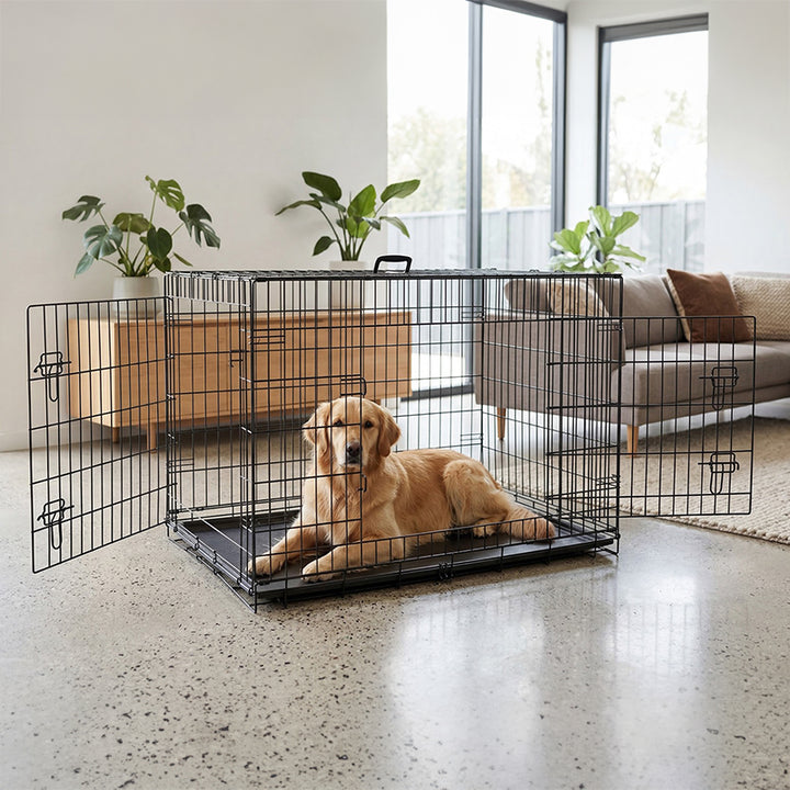 Tarc Metalic Câini Rebel Animals RA-1205 | 122x76x83 cm, Metal